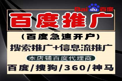 实战技巧：竞价推广案例解析与优化策略